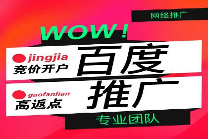 案例回顾：SEM托管助力企业实现快速扩张